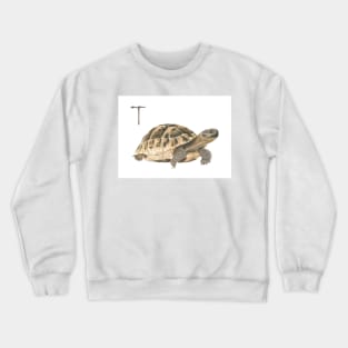 T for turtle alphabet illustration, pencil illustration from my alphabet series Crewneck Sweatshirt